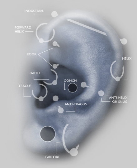 eardiagram.jpg